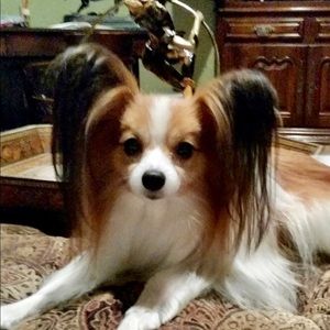 Meet your Posher, Tonia